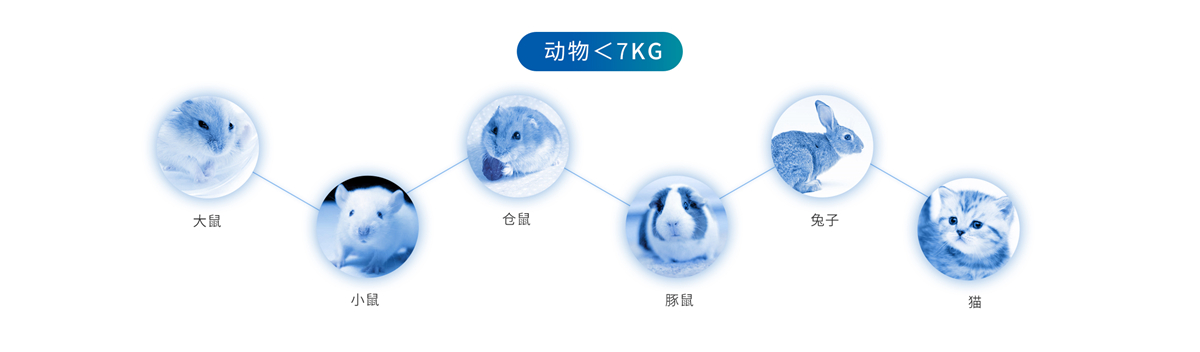 图片上传